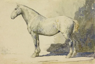 American White Draught Horse