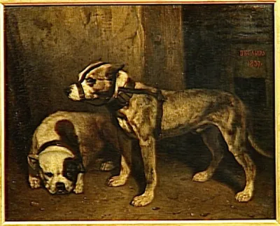 Bull and Terrier