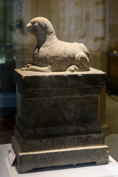 Chinese Imperial Dog