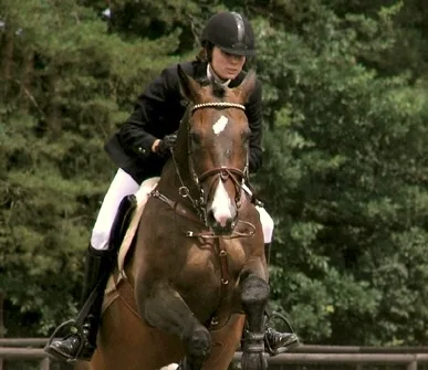 Czechoslovakian Small Riding Pony