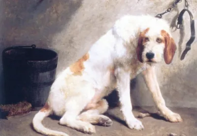 Grand Griffon Vendéen