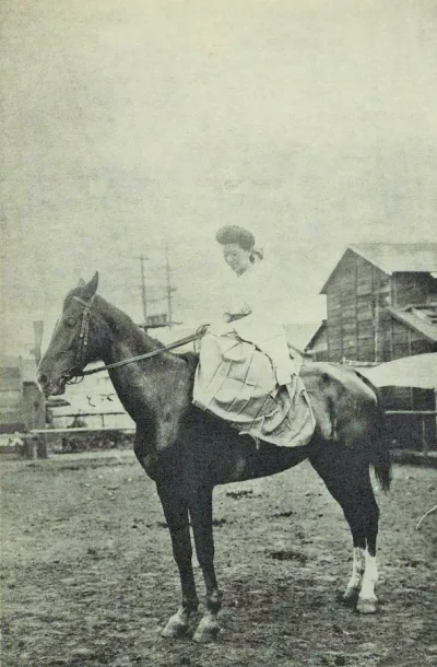 Japanese Riding Horse