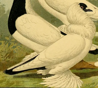 Schmalkalden Moorhead