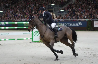 Sport Horse Breeding of Great Britain