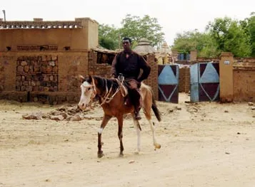 Western Sudan pony